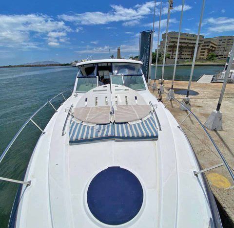 
								CRUISERS YACHTS 36 full									