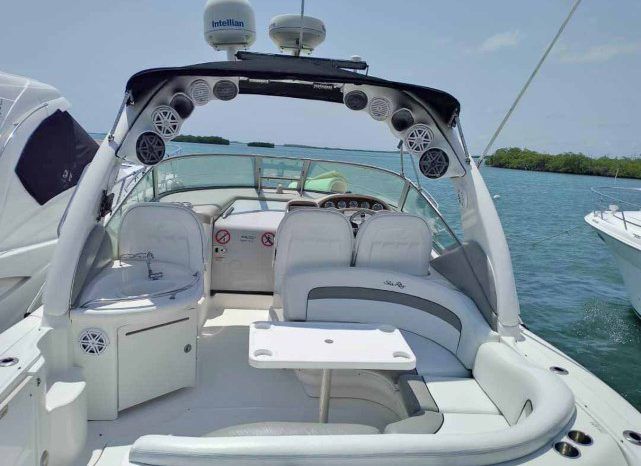 
								SEA RAY SUNDANCER 34 full									