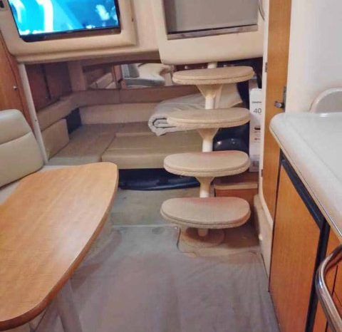 
								SEA RAY SUNDANCER 34 full									