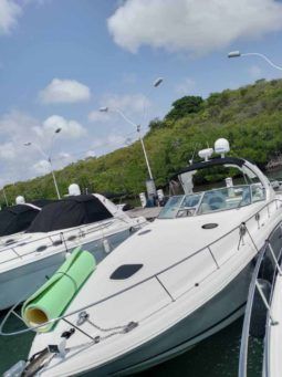 
										SEA RAY SUNDANCER 34 full									