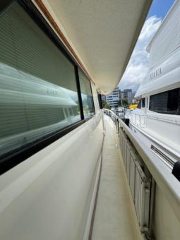 
										HATTERAS CMY 67 full									