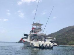 
										BOSTON WHALER OUTRAGE SPECIAL EDITION 42 full									