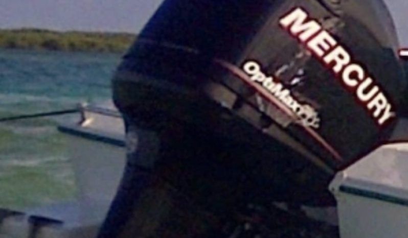 
								MOTOR MERCURY OPTIMAX 200HP full									