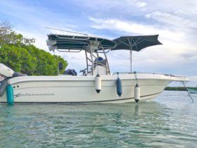 INTERMARINE OPEN CC 230 24