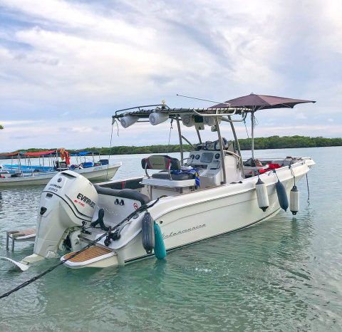 
								INTERMARINE OPEN CC 230 24 full									