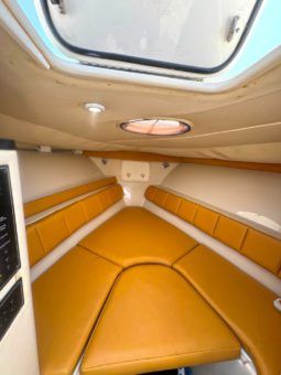 
										WELLCRAFT SCARAB CUDDY CABIN 35 full									