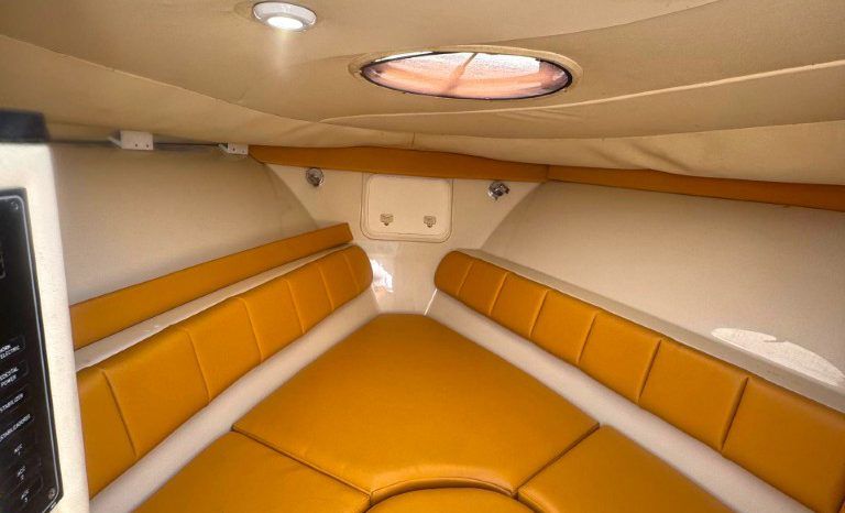 
								WELLCRAFT SCARAB CUDDY CABIN 35 full									