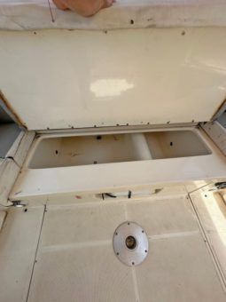 
										PROMARINE SPORT 33 full									