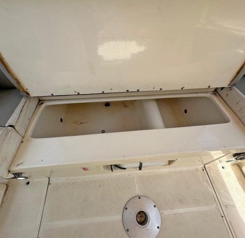 
								PROMARINE SPORT 33 full									