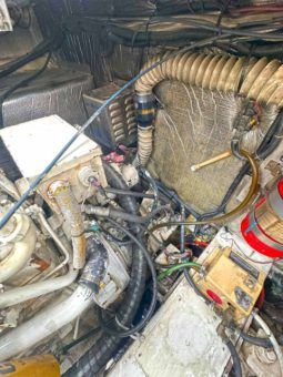 
										CRUISERS YACTH 3575 ESPRIT 36 full									