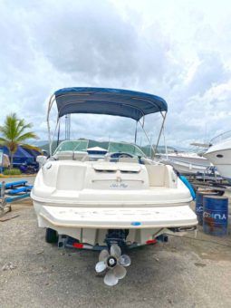 
										SEA RAY 210SD SUN DECK 21 full									