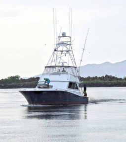 VIKING CONVERTIBLE 58 full