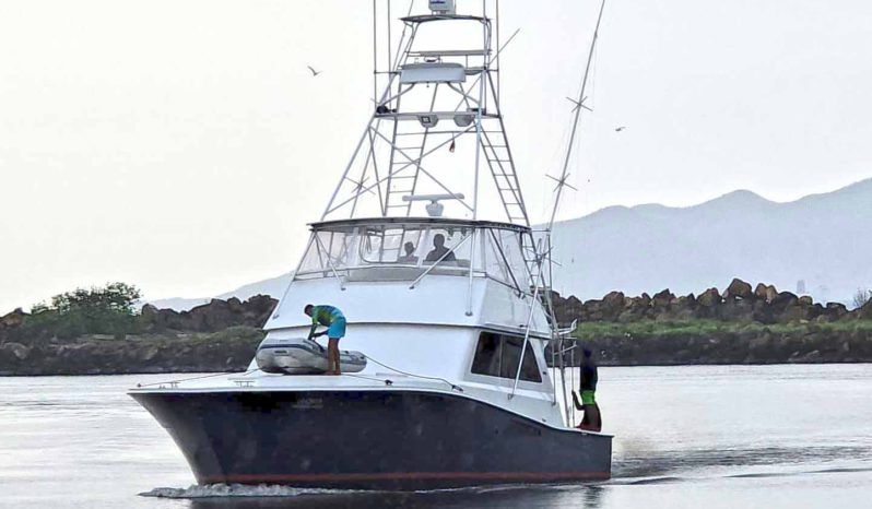 VIKING CONVERTIBLE 58 full