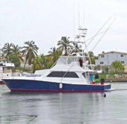 VIKING CONVERTIBLE 58 full