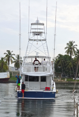 VIKING CONVERTIBLE 58 full