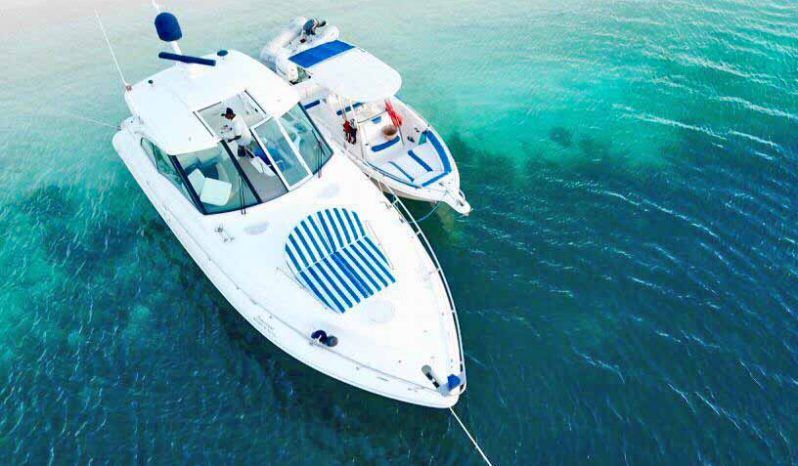 CRUISERS YACHTS SPORTS COUPE 42 full