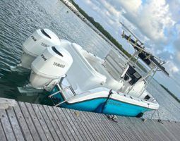 
										CENTURY OPEN 24 full									