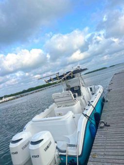 
										CENTURY OPEN 24 full									