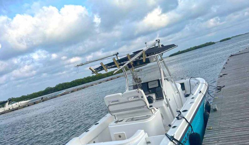 
								CENTURY OPEN 24 full									