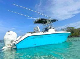 
										CENTURY OPEN 24 full									