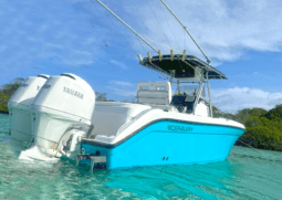 
										CENTURY OPEN 24 full									