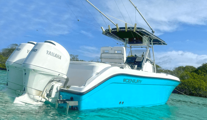 
								CENTURY OPEN 24 full									