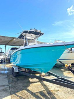 
										CENTURY OPEN 24 full									