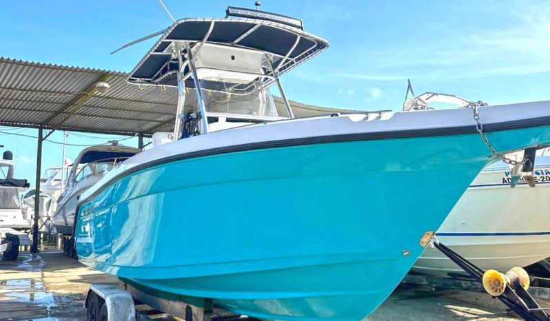 
								CENTURY OPEN 24 full									