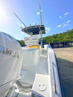 
										CENTURY OPEN 24 full									