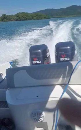 INTERMARINE Z29