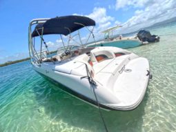 
										YAMAHA AR230 24 full									