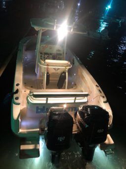 
										PROMARINE 24 full									