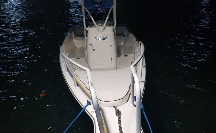 
								PEÑERO PROMARINE 28 full									