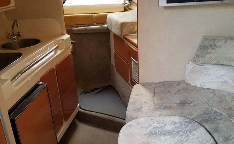 
								SEA RAY 290 31 full									