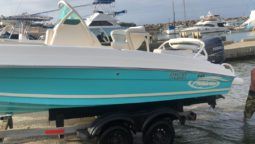 
										PROMARINE OPEN  21 full									