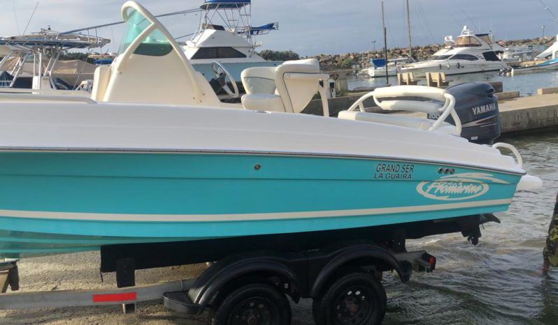 
								PROMARINE OPEN  21 full									