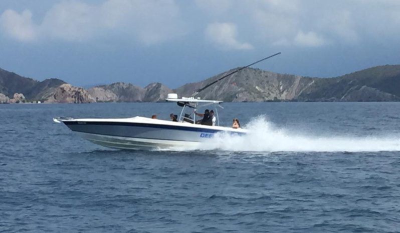 
								COMMANDER 32.5 full									