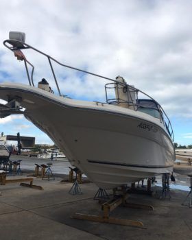 SEA RAY 290 31