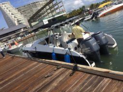 
										BLACK JACK 31 full									