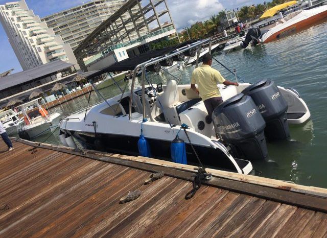 
								BLACK JACK 31 full									