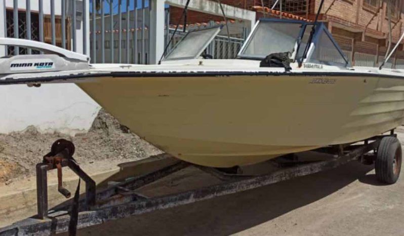 PROFINA SPORT CUDDY 21 full