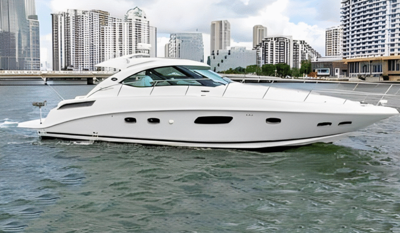 
								SEA RAY SUNDANCER 43 full									