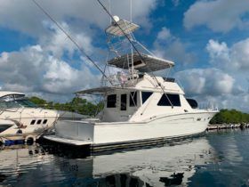 CHRIS CRAFT SPORTFISH 45.5