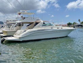 SEA RAY SUNDANCER 450