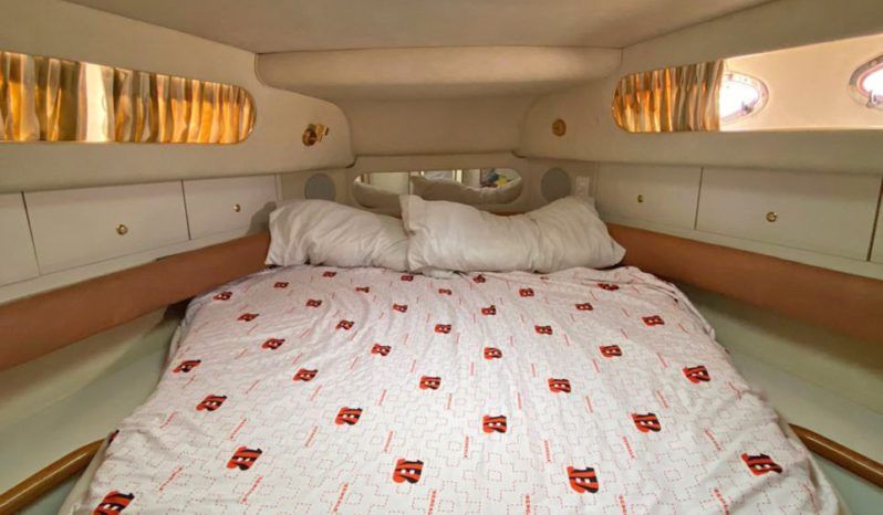 
								SEA RAY SUNDANCER 450 full									