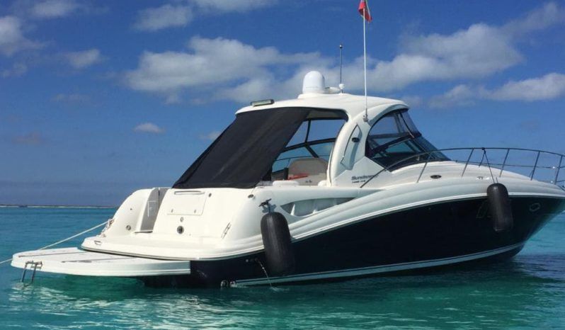 
								SEA RAY SUNDANCER 41 full									