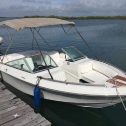 
										WELLCRAFT SPORTSMAN 180 full									