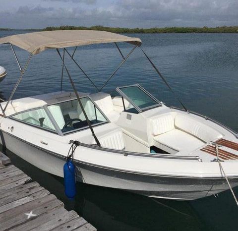 
								WELLCRAFT SPORTSMAN 180 full									