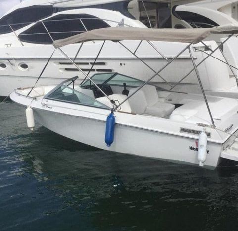 
								WELLCRAFT SPORTSMAN 180 full									