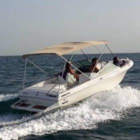 WELLCRAFT SPORTSMAN 180